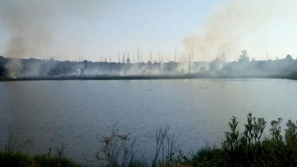 incendios corpus