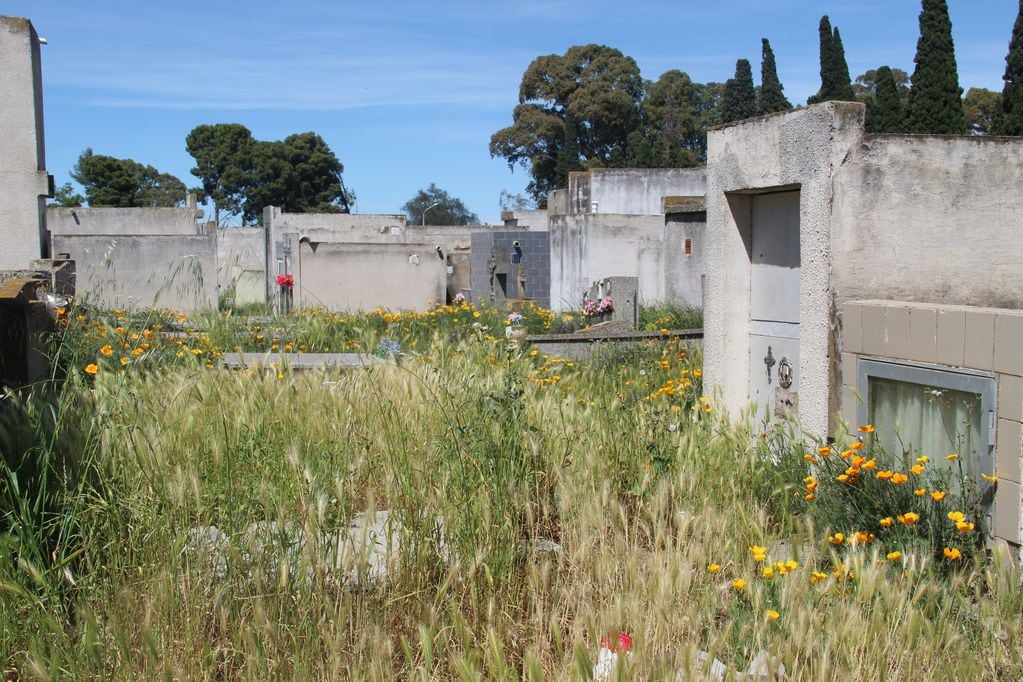 El mantenimiento del Cementerio de Punta Alta depende de la Secretaría de Servicios a cargo de Amadeo Córdoba.