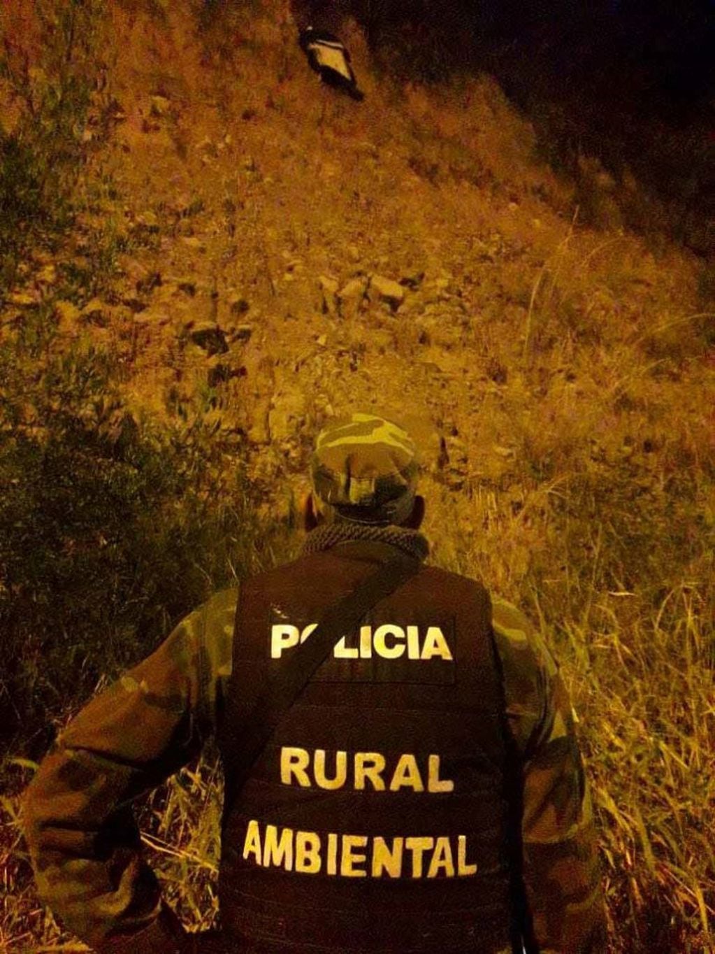 La policía rescató un cóndor herido en Chicoana. (Policía de Salta)