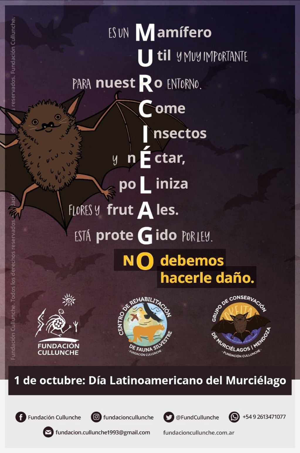 Por medio de un didáctico flyer digital, la Fundación Cullunche resaltó la importancia y el aporte de los murciélagos al ecosistema y el medio ambiente.