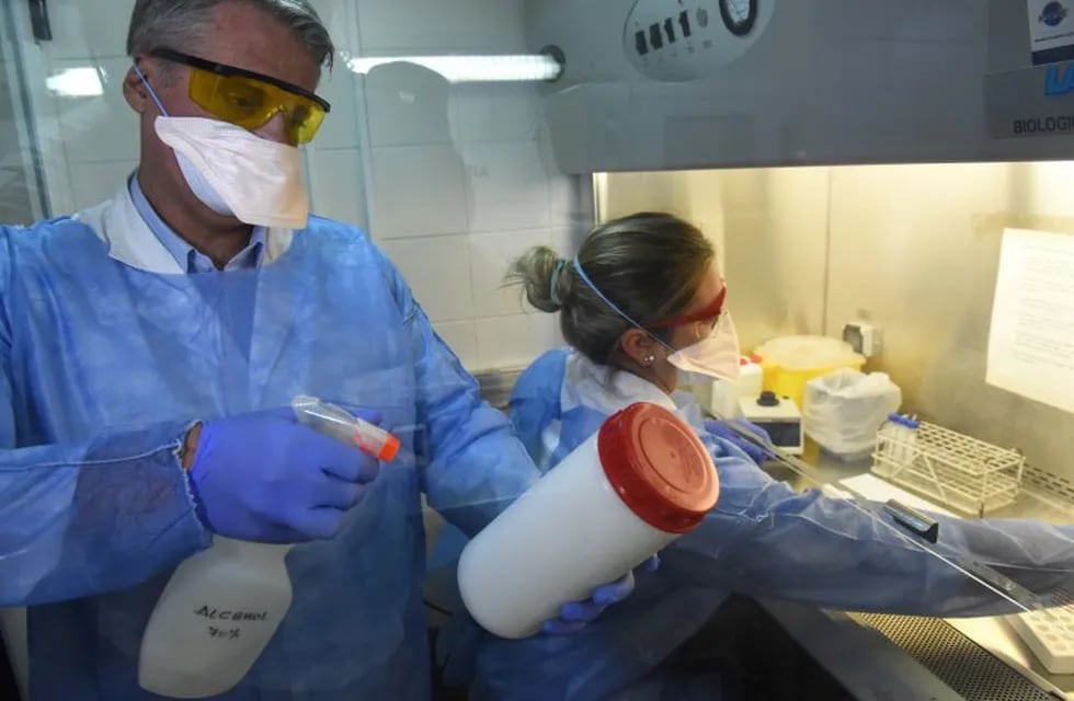 El Cemar realiza hasta 200 análisis diarios sobre muestras de posibles enfermos de COVID-19. (Municipalidad de Rosario)