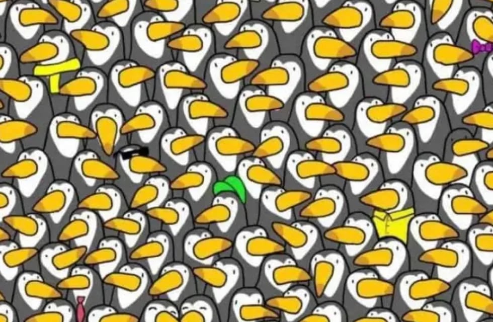 El acertijo visual que solo los más observadores pueden resolver: ¿Sos capaz de hallar al pingüino escondido?.