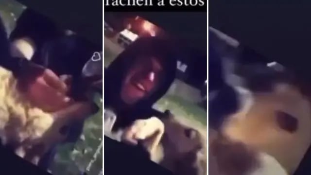 El video de jóvenes dándole alcohol al pero generó indignación.