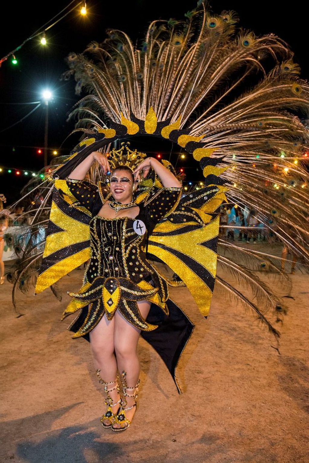 Carnavales Regionales en Monte Cristo