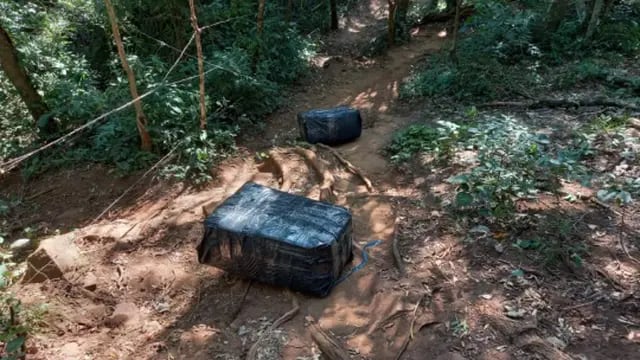 Secuestran marihuana en la ribera del Paraná