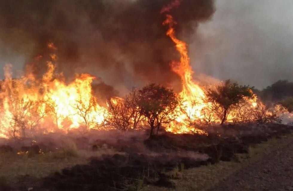 Incendio Forestal