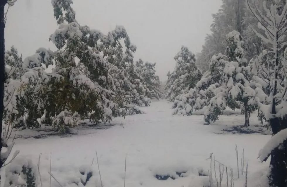 Nieve en Mendoza- Tunuyán