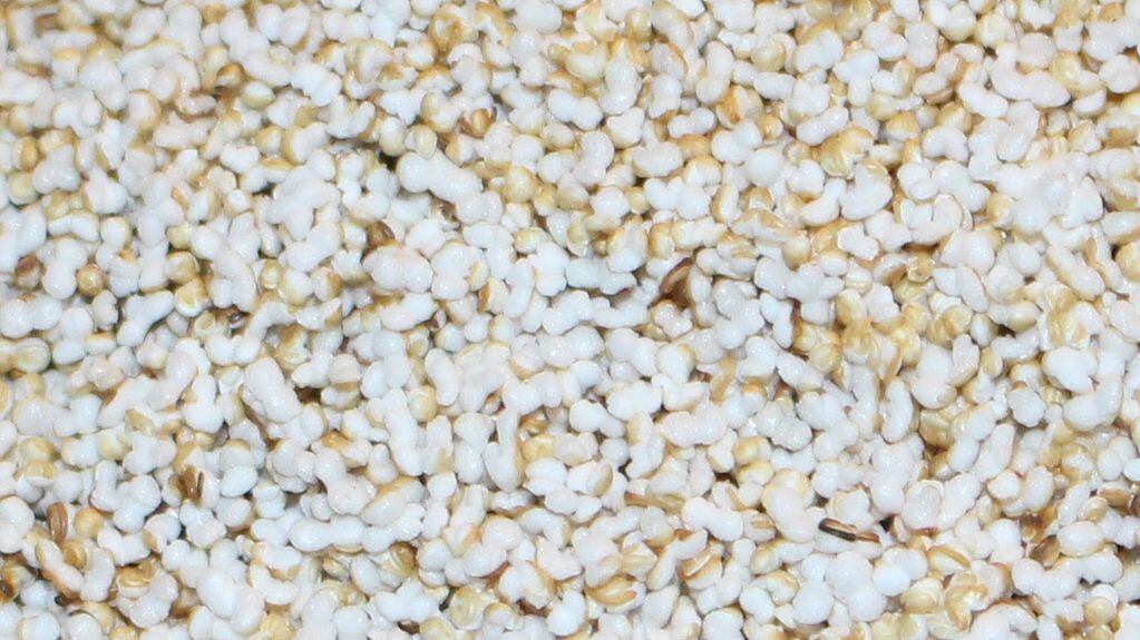 Las palomitas de amaranto, una exquisita opción para ingerir estas saludables semillas.