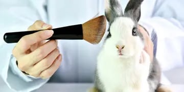 Marcas de cosméticos que no testean en animales