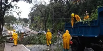 Misiones | La tormenta de Santa Rosa causó inundaciones de calles y casas, evacuación de familias, caída de árboles y una breve granizada