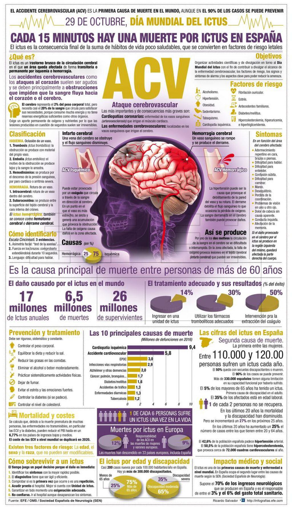 GRAF5649. MADRID (ESPAÑA), 26/10/2018.- Detalle de la infografía de la Agencia EFE "Día del Ictus", disponible en http://infografias.efe.com   dia mundial del ictus acv