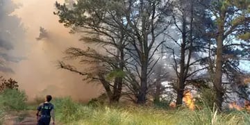 Incendio forestal en El Marquesado
