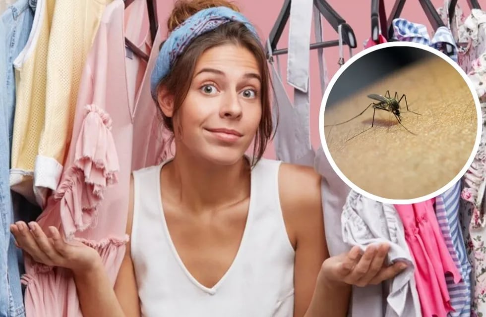 Atención: estos 3 colores de ropa hacen que los mosquitos te piquen más.