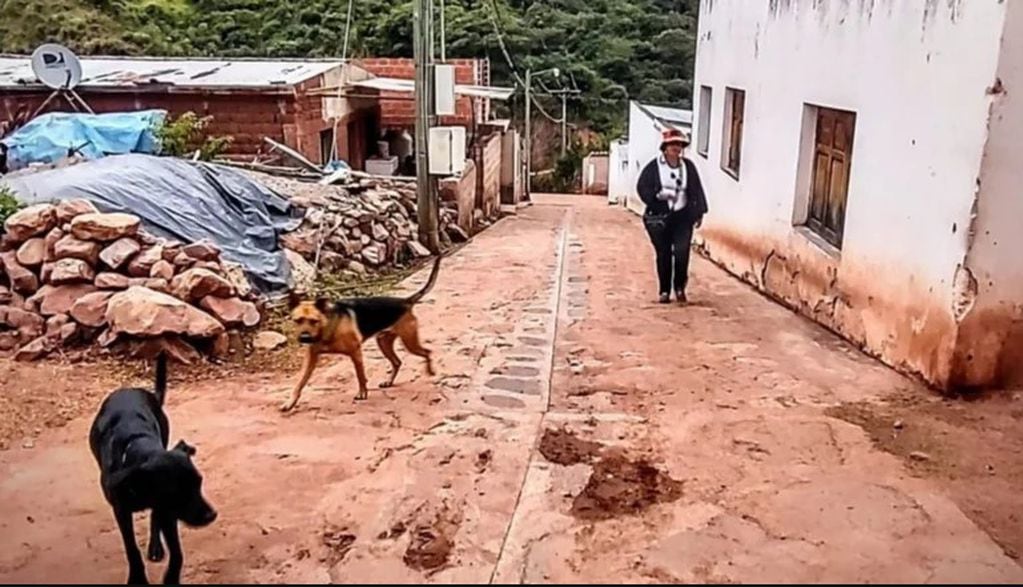 Aldana, la puntana que recorre el continente con sus mascotas Pelopincho y Cachirula.