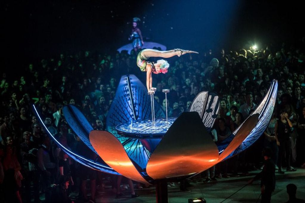 El "Sep7imo Día" de Cirque de Soleil vuelve para despedirse en la Argentina. (Foto: EFE/NANCY MARTÍNEZ/POP ART MUSIC)