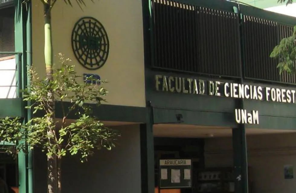 Eldorado: la Facultad de Ciencias Forestales abrió las preinscripciones a carreras para el ciclo 2022.