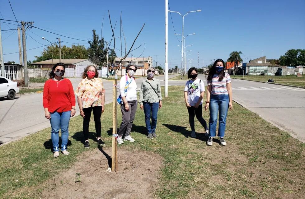 Mujeres apadrinarán árboles en Av. Maggi