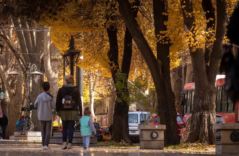 Plaza España
Otoño cálido en la Ciudad de Mendoza 

Foto: Ignacio Blanco / Los Andes 