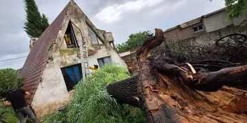 Destrozos del temporal en Entre Ríos