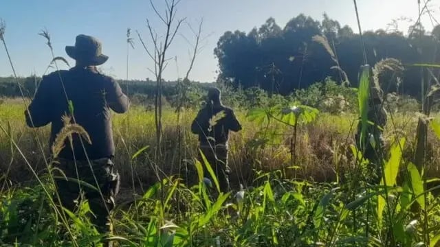 Secuestraron tres motos de presuntos cazadores furtivos en Puerto Esperanza
