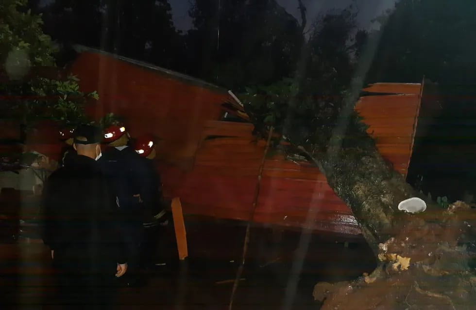 Por el temporal cayó un árbol sobre una vivienda en Oberá.