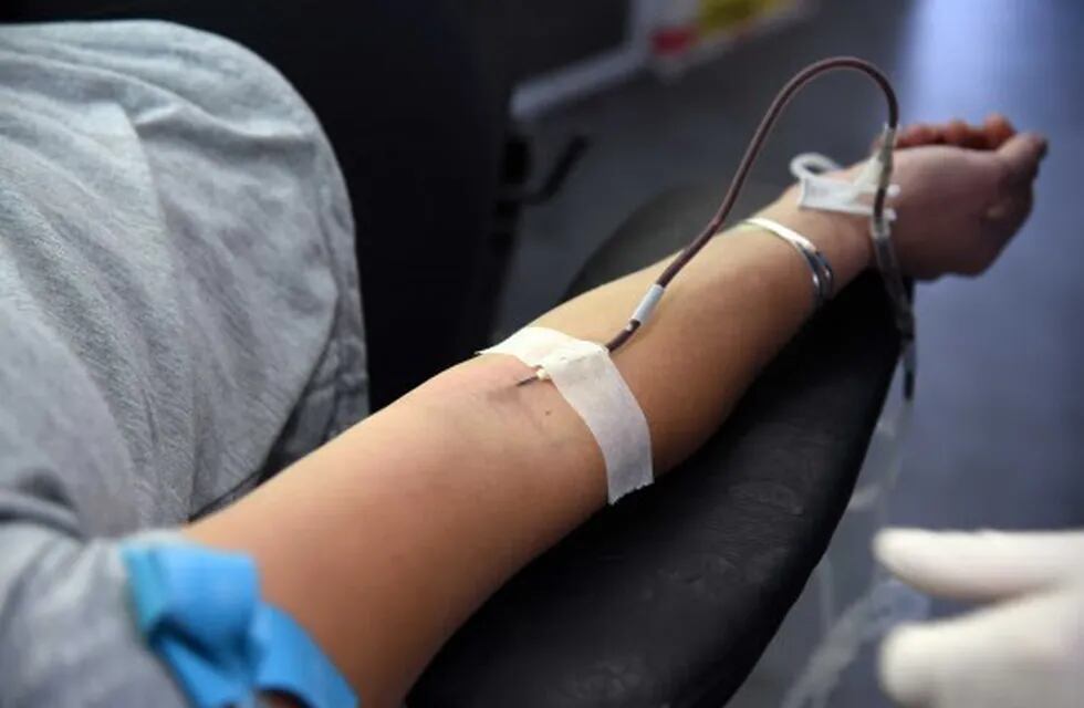 Jornada de donación de sangre en la Calle Recreativa