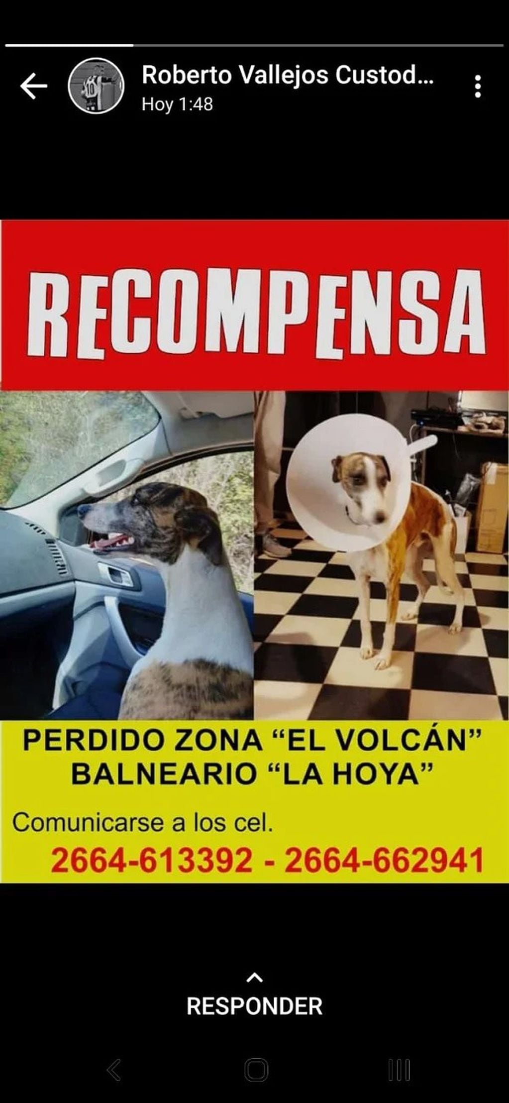 Ofrecen recompensa por el perro de Alberto Rodríguez Saá.