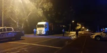 San José: nuevamente detienen otro camión con carga de soja ilegal