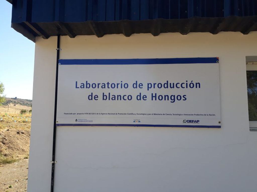 Proyecto regional patagónico de hongos comestibles