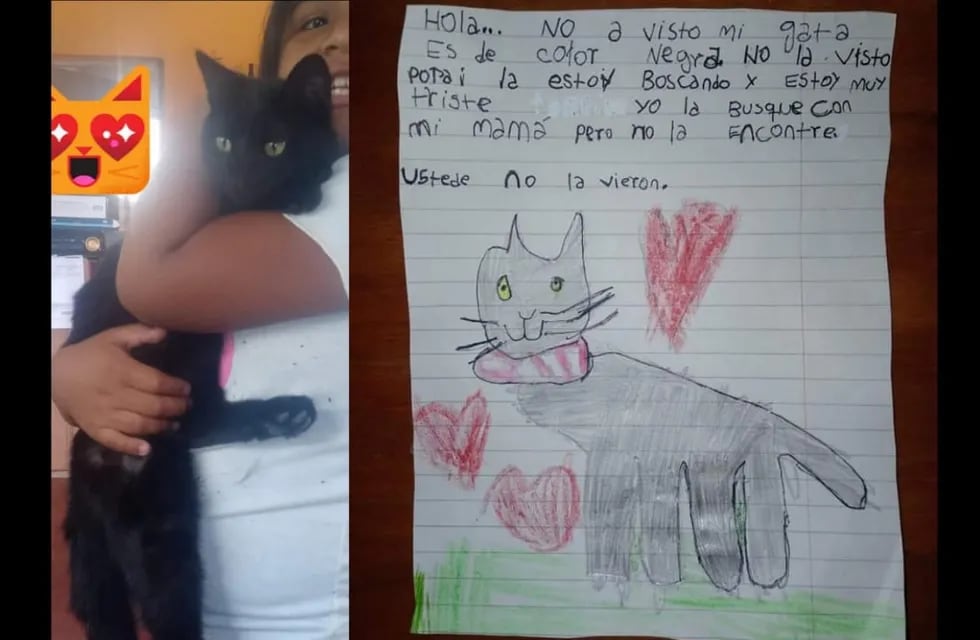 Una niña pide la colaboración de sus vecinos para que su gata "Uma" vuelva a casa.