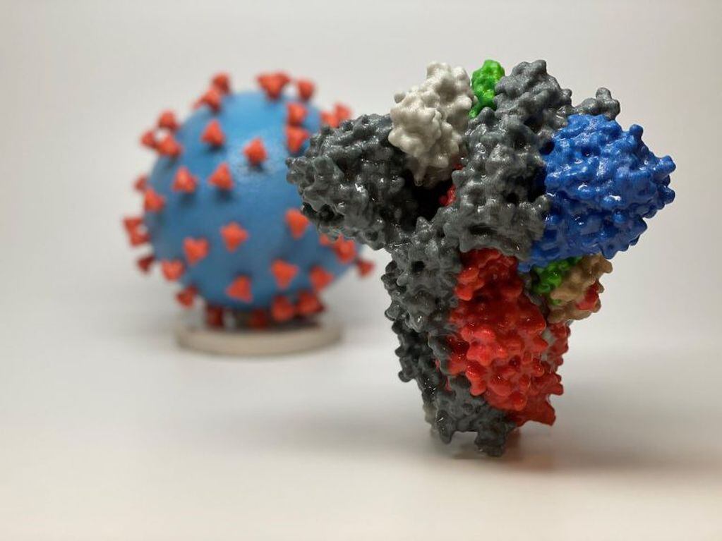 Estados Unidos inició este lunes las pruebas en seres humanos para una vacuna que proteja del coronavirus. (Foto: EFE/NIH)
