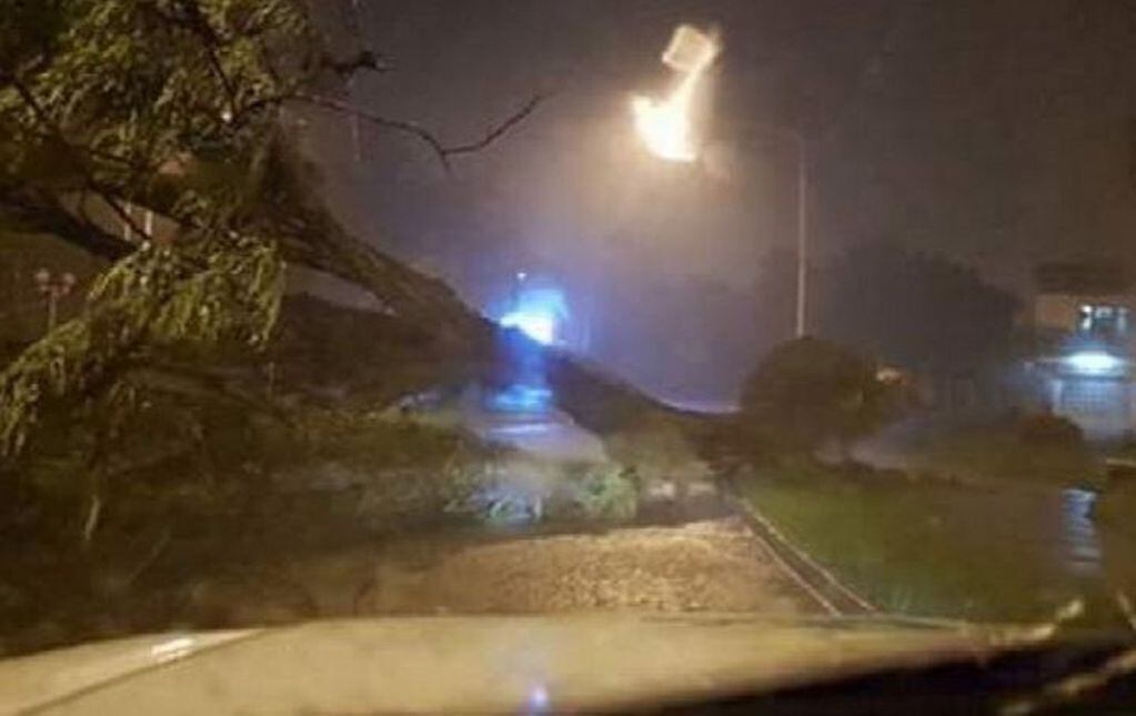 Destrozos por el temporal que azotó Corrientes este lunes. (Foto: Corrientes Hoy)