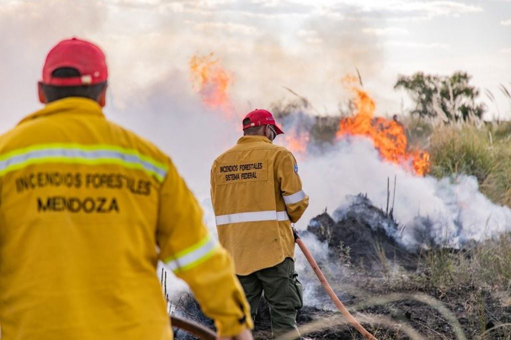 Incendios forestales en Mendoza