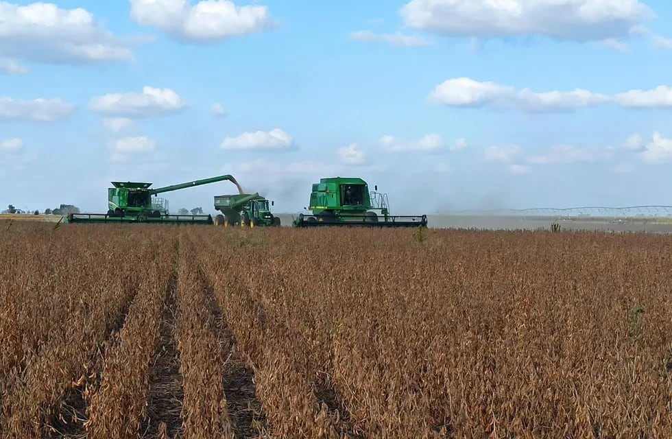 El procesamiento de soja alcanzó en el primer semestre su nivel más alto en cinco años (Gentileza Bolsa de Cereales de Córdoba)