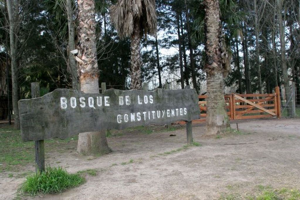 El Bosque de los Constituyentes cuenta con 270 hectáreas.