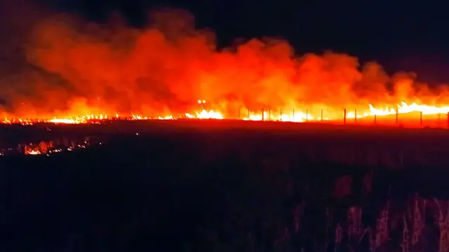 Incendio en Zona Rural de Arroyito
