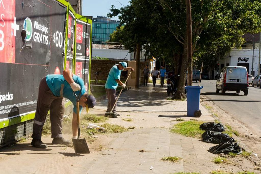 Bajaron más de 20% los reclamos en recolección de residuos (Municipalidad de Rosario)