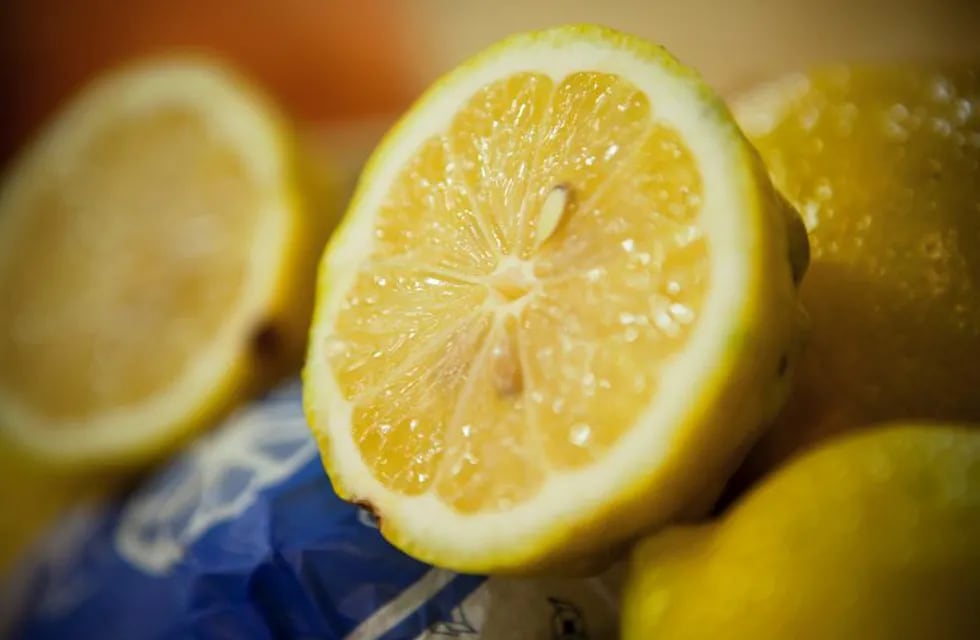 HANDOUT - ARCHIVO - Un limón cortado a la mitad en algún lugar no determinado de Argentina el 17/11/2010. (Vinculado al texto de dpa \