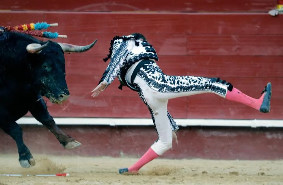 Un torero español sufrió una grave cornada en una corrida (Foto: Juan Carlos Cárdenas/EFE)