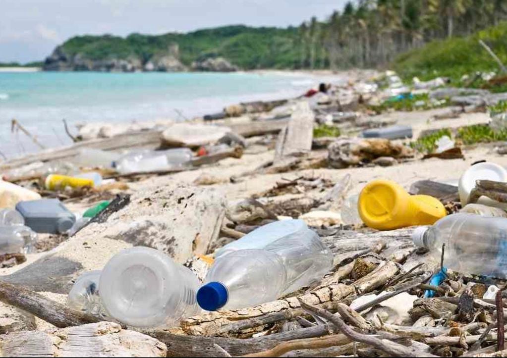 El hombre ha sido responsable por la invasión de plásticos en los mares pero también quien está buscando soluciones al problema.