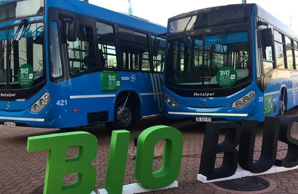 Biobus: la provincia propone que todo el transporte público utilice biodiesel