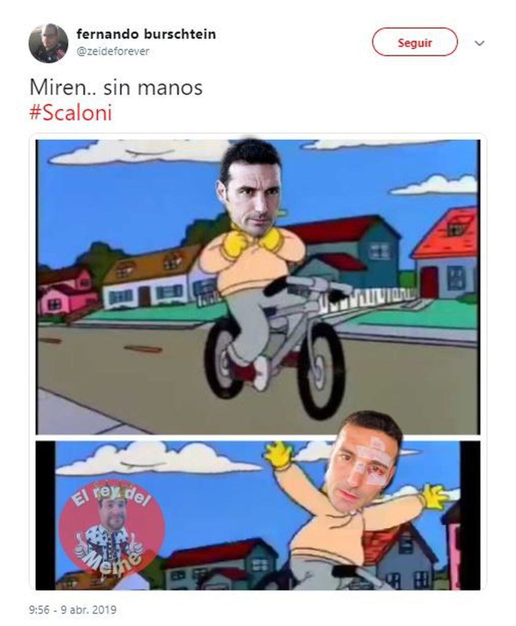 Los mejores memes sobre el accidente de Lionel Scaloni (Foto: Twitter)