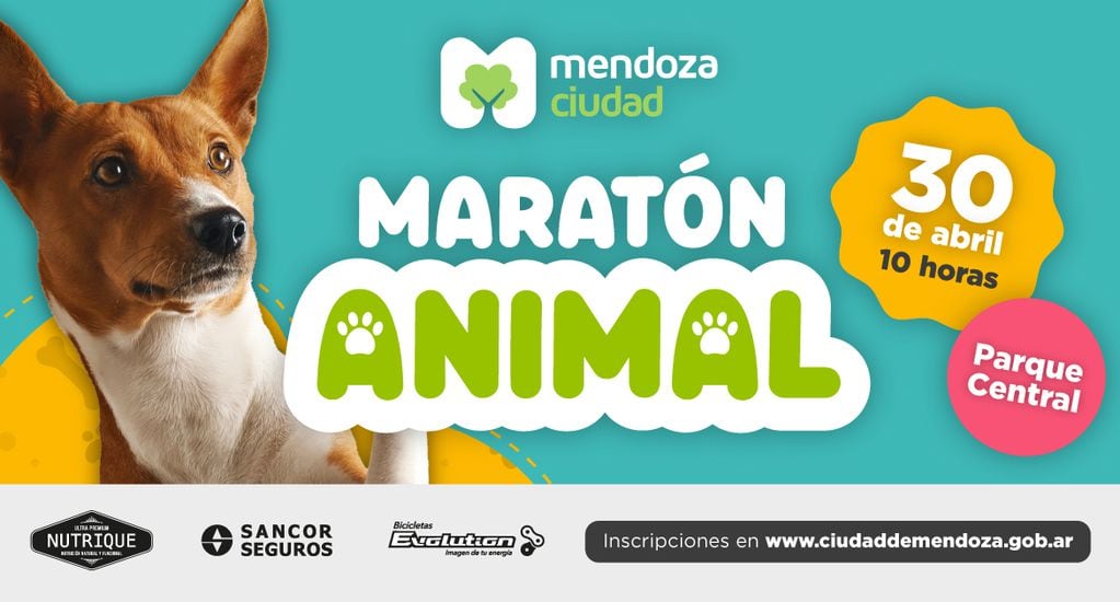 Maratón Animal