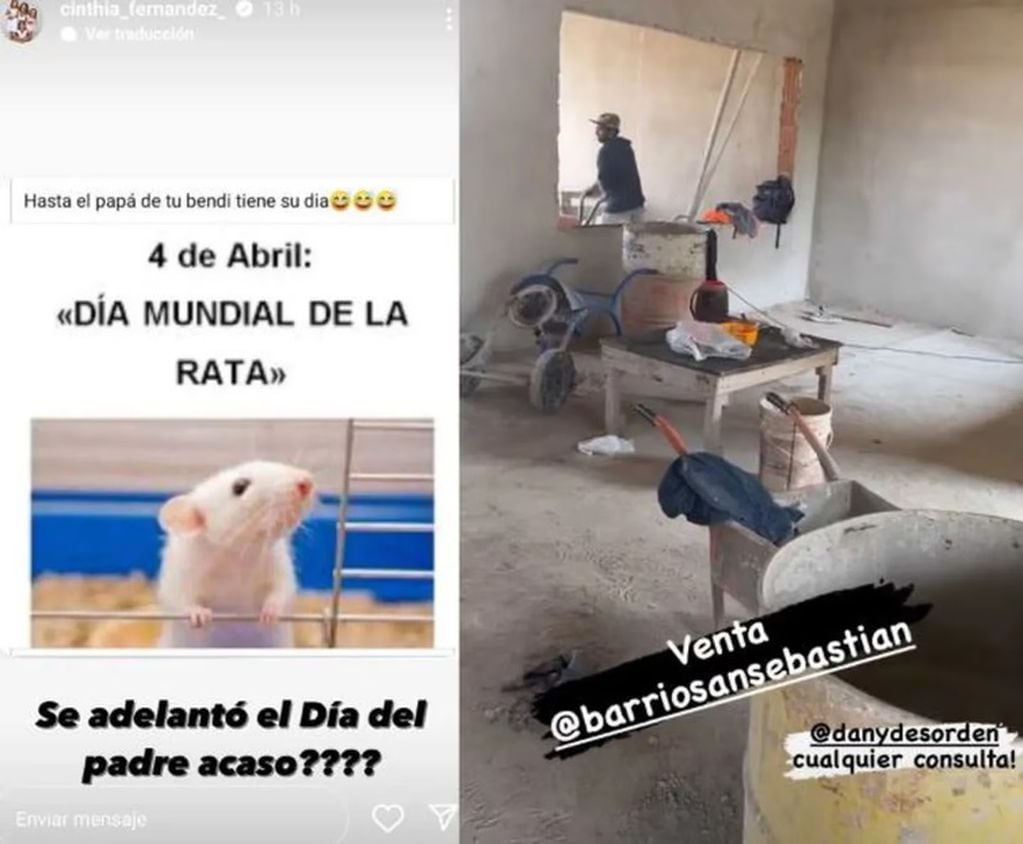 Cinthia Fernández arremetió contra Matías Defederico y lo saludó para el día de la rata, cuando él anunciaba las obras en el barrio privado San Sebastián / Foto: Instagram