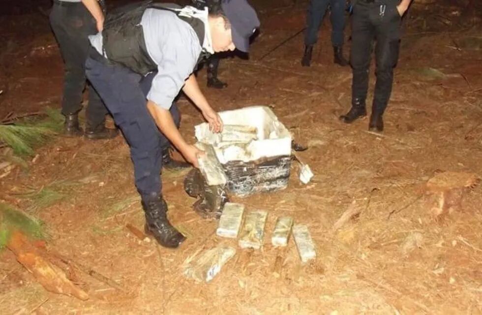 Puerto Libertad: la policía descubrió 41 kilos de marihuana en un pinar