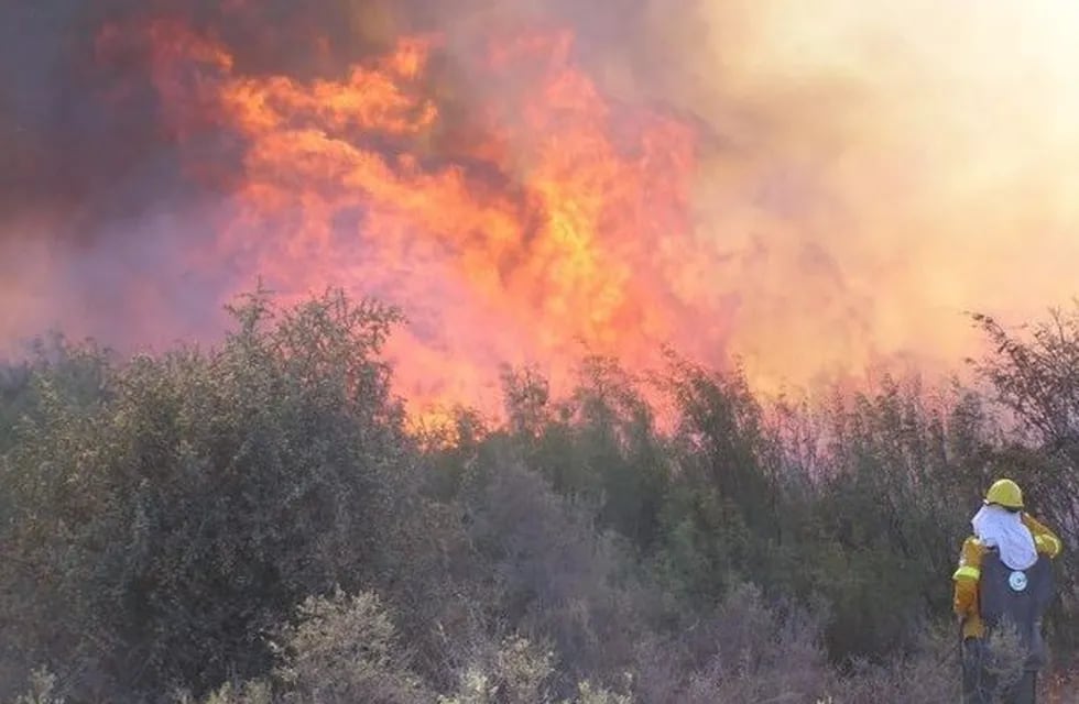El fuego cruzó el río y la ruta 146, más de 90 mil hectáreas quemadas.