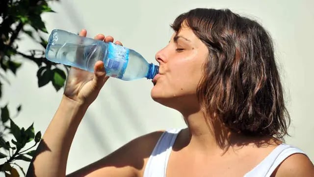 CALOR. Una joven tomando agua para combatir las altas temperaturas (Sergio Cejas/Archivo)