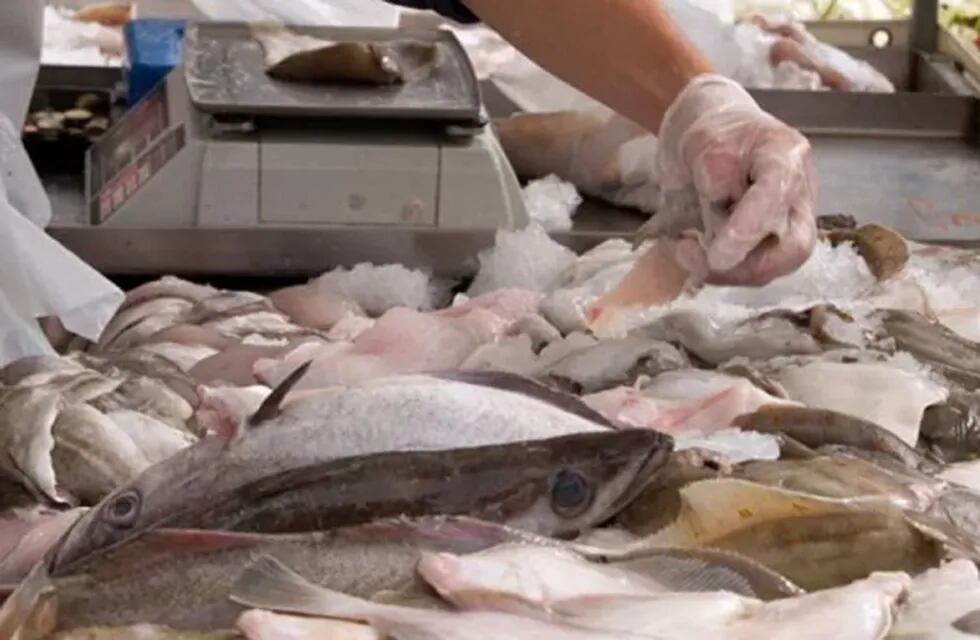 Semana Santa en Posadas: controlarán la venta de pescado para evitar enfermedades.