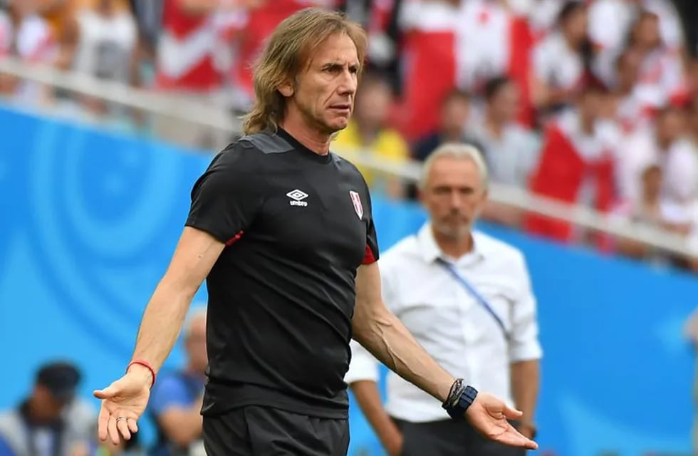 Peru's coach Ricardo Gareca reacts  during the Russia 2018 World Cup Group C football match between Australia and Peru at the Fisht Stadium in Sochi on June 26, 2018. / AFP PHOTO / Nelson Almeida / RESTRICTED TO EDITORIAL USE - NO MOBILE PUSH ALERTS/DOWNLOADS rusia Ricardo Gareca futbol campeonato mundial 2018 futbol futbolistas partido seleccion peru australia