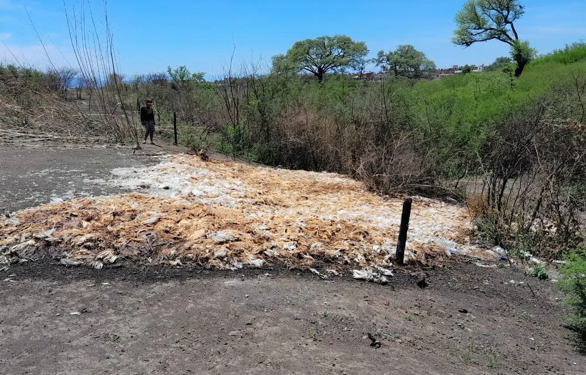 Denuncia de una vecina permitió descubrir contaminación por 3.000 ...